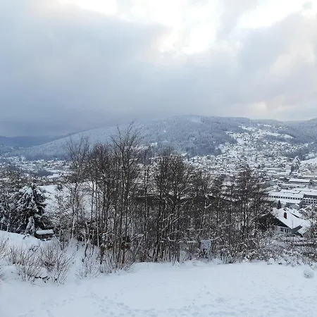 Les Bleuets Apartment Gerardmer