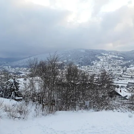 Les Bleuets Apartman Gérardmer