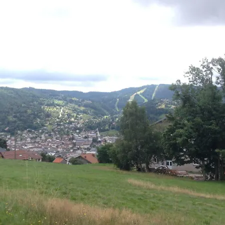 Les Bleuets 제라르메르