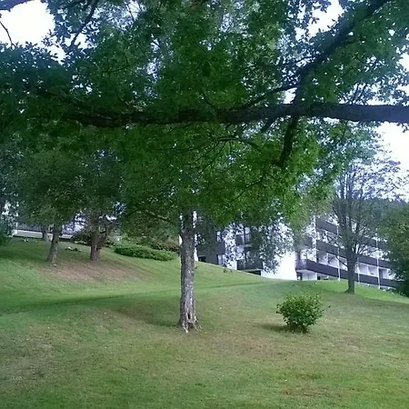 Les Bleuets Apartman Gérardmer