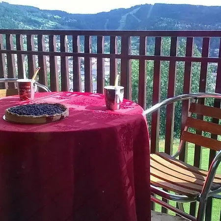 Apartment Les Bleuets Gerardmer