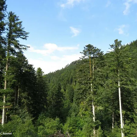 Les Bleuets Apartman