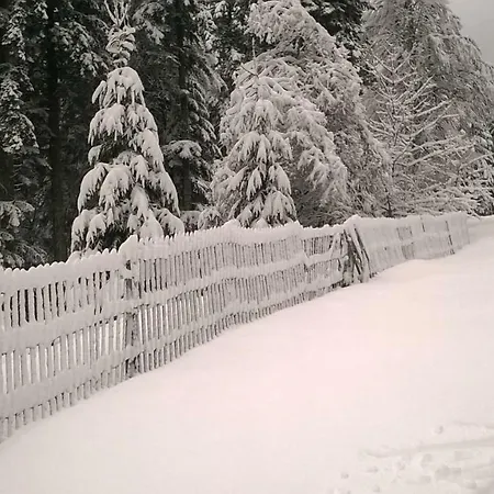Les Bleuets Gérardmer