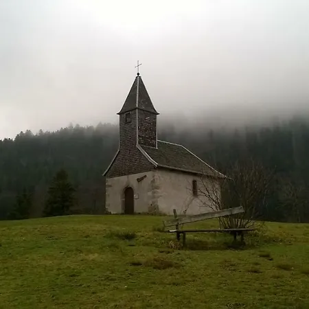 Les Bleuets Apartment Gerardmer