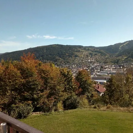 Les Bleuets Apartment Gerardmer