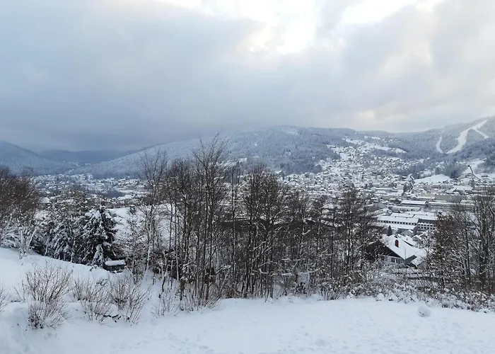 Les Bleuets 아파트 제라르메르