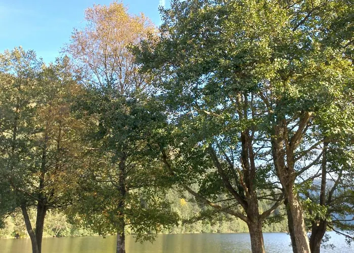 Les Bleuets 아파트 *