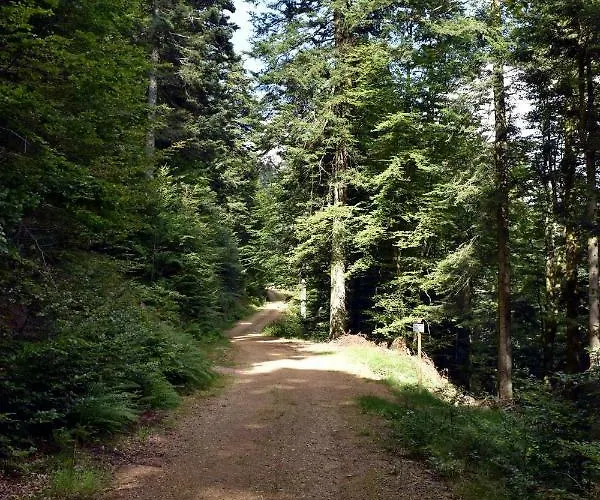 Les Bleuets 아파트