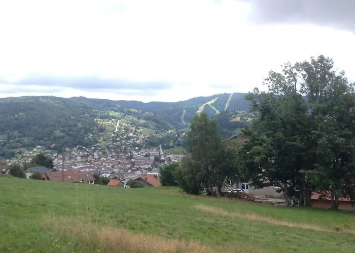 Les Bleuets 제라르메르