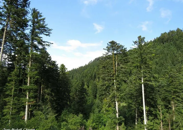 Les Bleuets 아파트