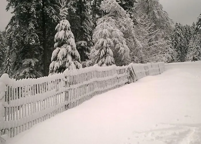 Les Bleuets 제라르메르