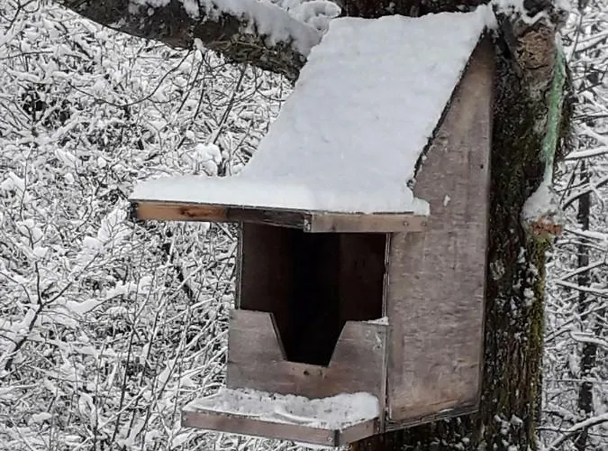 Les Bleuets 아파트