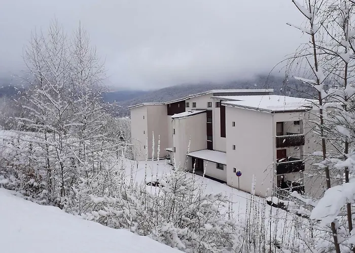 Les Bleuets * 제라르메르