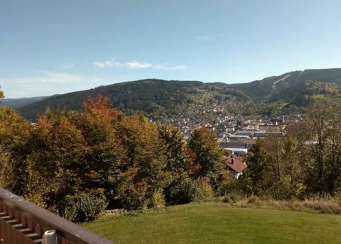 Les Bleuets Apartment Gerardmer
